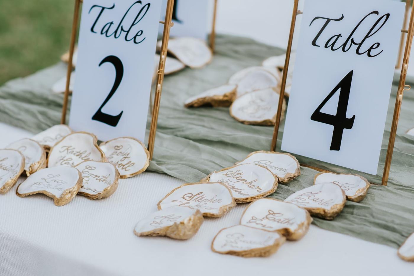 Cabo Surf Weddings